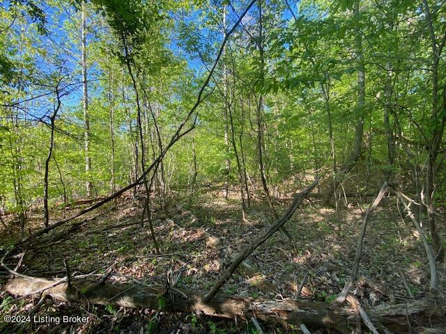 Listing photo 2 for 0 Martin Pierce Rd, Cub Run KY 42729