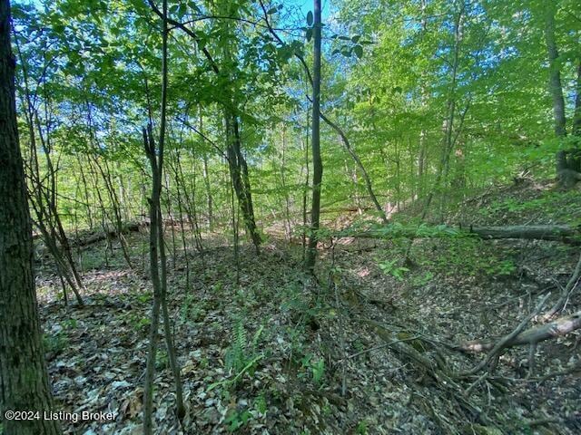 0 Martin Pierce Rd, Cub Run, KY 42729