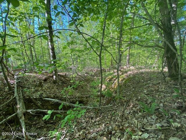 0 Martin Pierce Rd, Cub Run, KY 42729