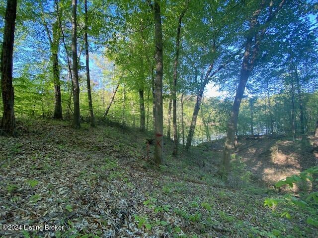 0 Martin Pierce Rd, Cub Run, KY 42729