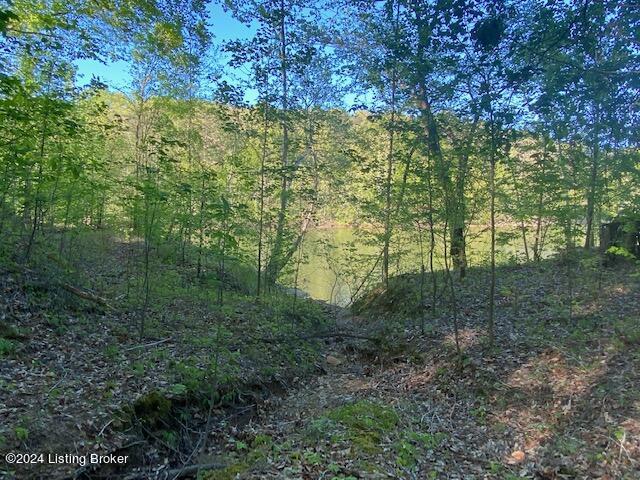 0 Martin Pierce Rd, Cub Run, KY 42729