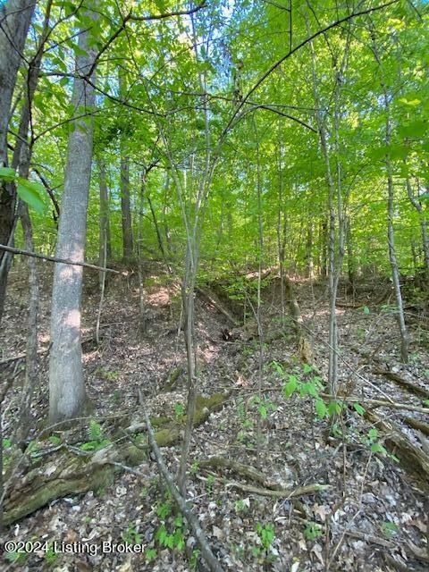 Listing photo 3 for 0 Martin Pierce Rd, Cub Run KY 42729