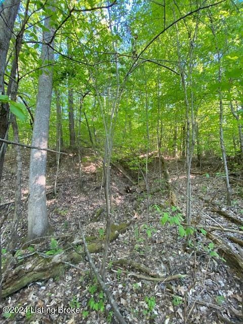 0 Martin Pierce Rd, Cub Run, KY 42729