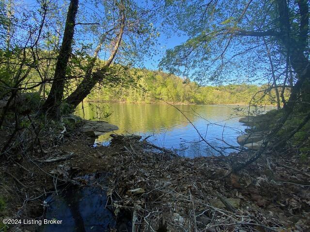 0 Martin Pierce Rd, Cub Run, KY 42729