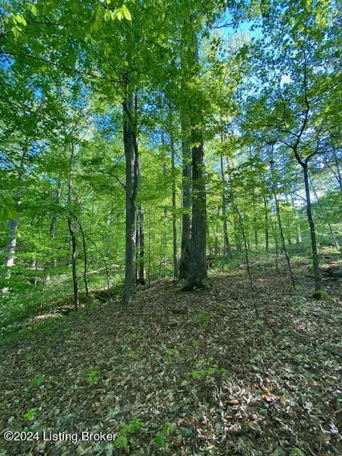 0 Martin Pierce Rd, Cub Run, KY 42729