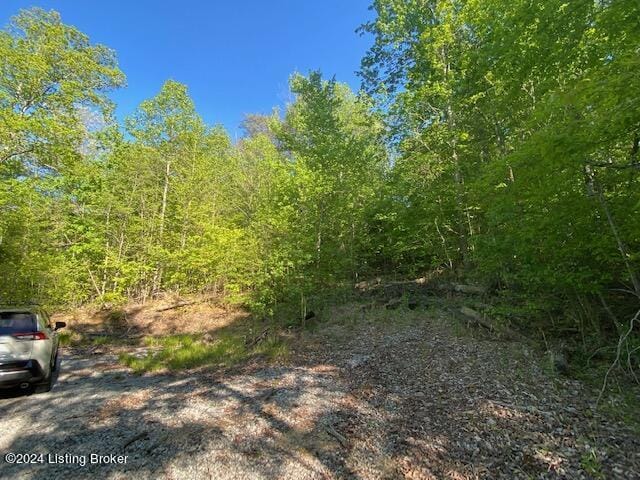 0 Martin Pierce Rd, Cub Run, KY 42729