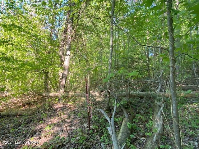 0 Martin Pierce Rd, Cub Run, KY 42729
