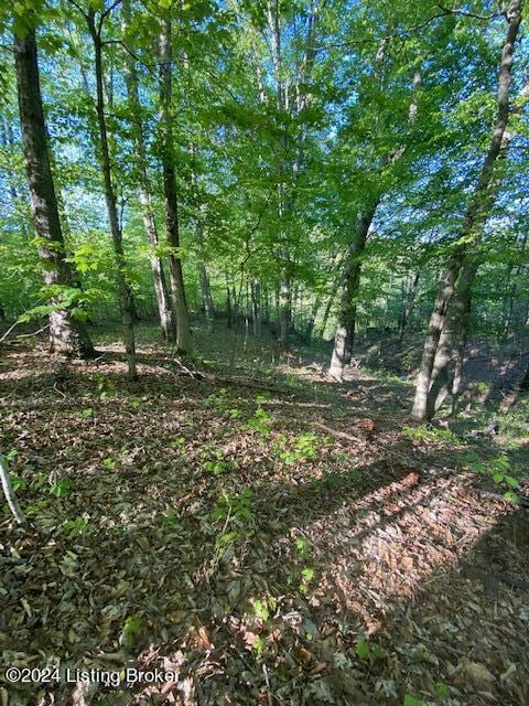 0 Martin Pierce Rd, Cub Run, KY 42729