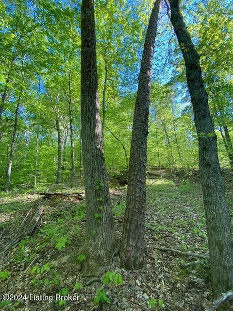 0 Martin Pierce Rd, Cub Run, KY 42729