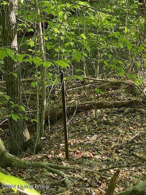 0 Martin Pierce Rd, Cub Run, KY 42729
