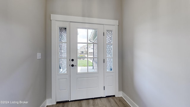 foyer entrance featuring a healthy amount of sunlight and light hardwood / wood-style floors