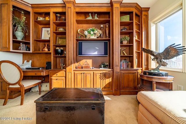 sitting room with built in desk and light colored carpet