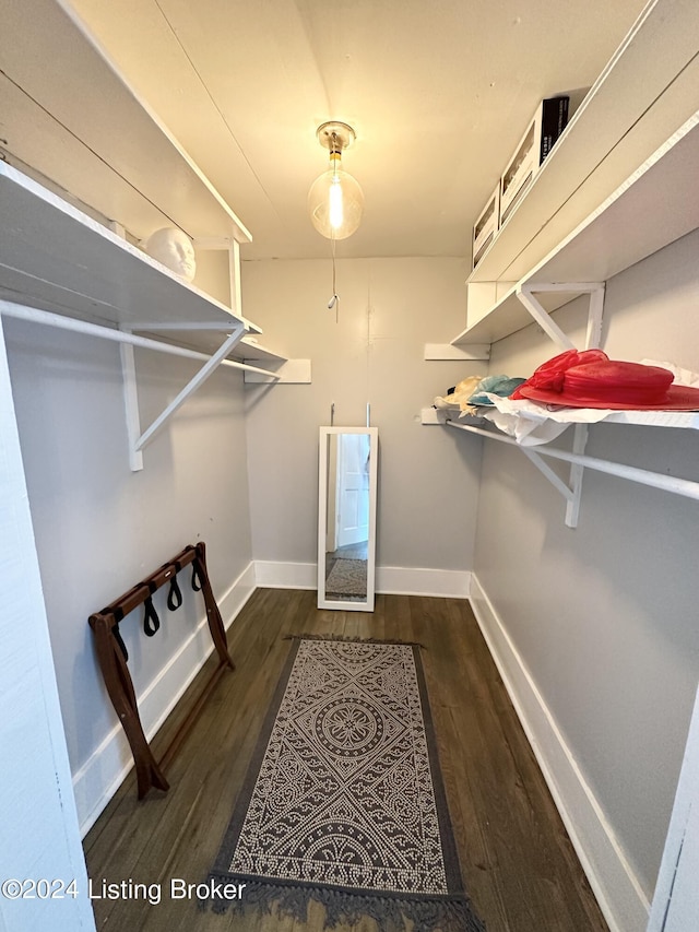 walk in closet with dark hardwood / wood-style flooring