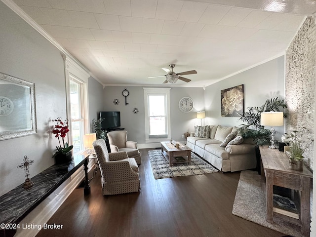 living room featuring ceiling fan, hardwood / wood-style flooring, and crown molding