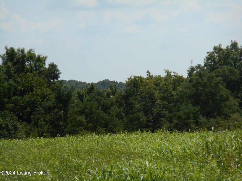 1 Hickory Ridge Rd, Mount Eden, KY 40046