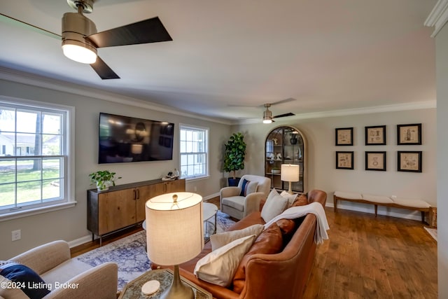 living room featuring hardwood / wood-style flooring, ceiling fan, and crown molding