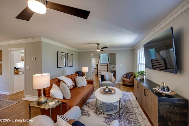 living room featuring light hardwood / wood-style flooring, ceiling fan, and ornamental molding