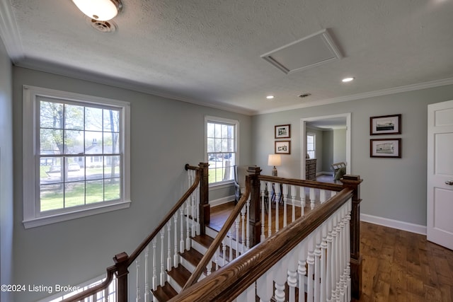 corridor with a textured ceiling, plenty of natural light, crown molding, and dark hardwood / wood-style floors