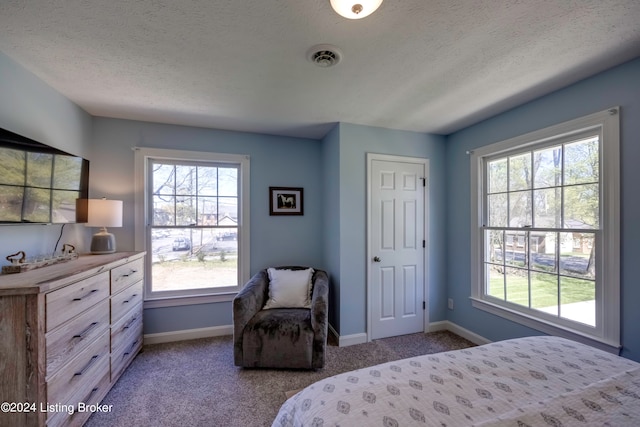 bedroom with multiple windows, a textured ceiling, and light colored carpet