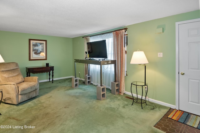 living area with carpet and a textured ceiling