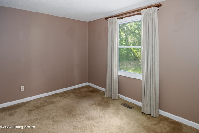 carpeted spare room featuring a wealth of natural light