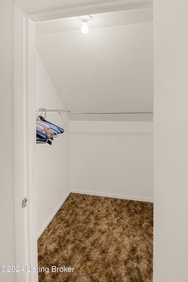 spacious closet with carpet flooring