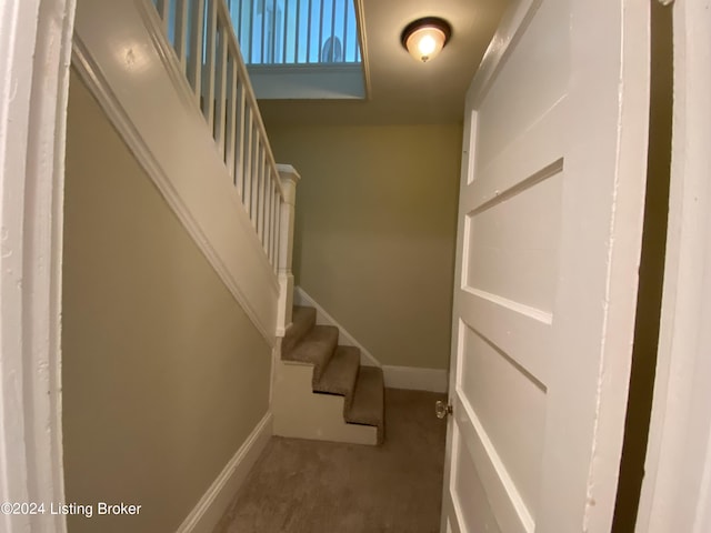 staircase with carpet floors