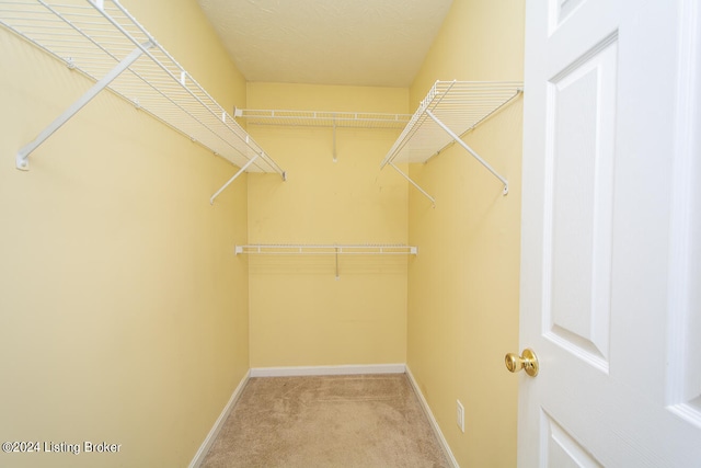 spacious closet with carpet flooring