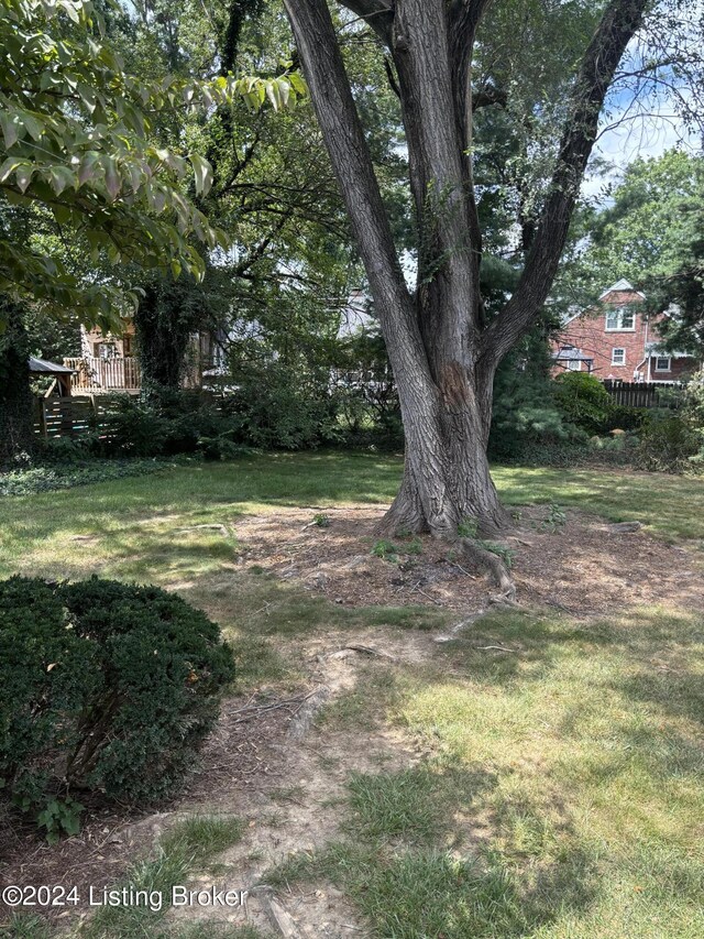 view of yard featuring a wooden deck