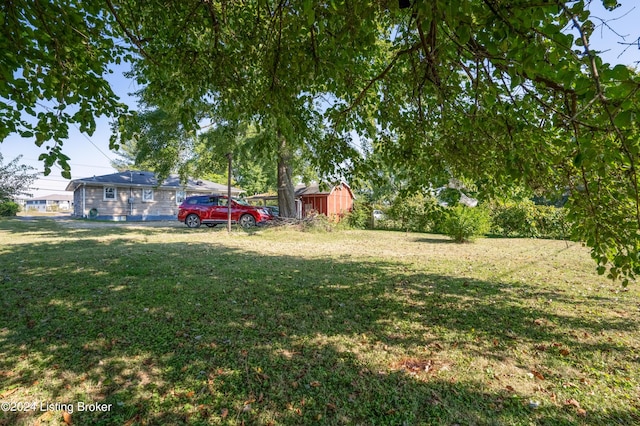 view of yard featuring a storage shed