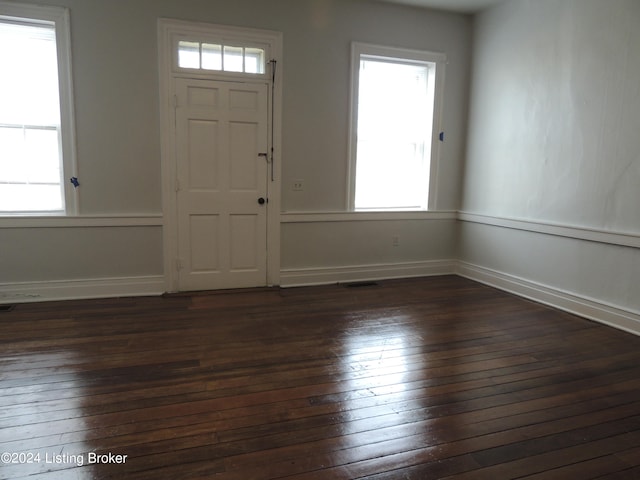 entryway featuring dark hardwood / wood-style flooring and a healthy amount of sunlight