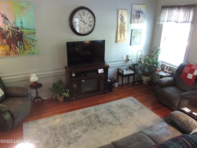 living room featuring dark wood-type flooring