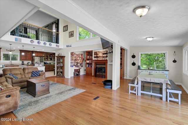 living room featuring a textured ceiling, plenty of natural light, and light hardwood / wood-style floors