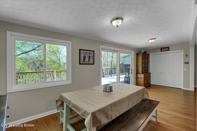 dining room with light wood-type flooring, a textured ceiling, and a healthy amount of sunlight