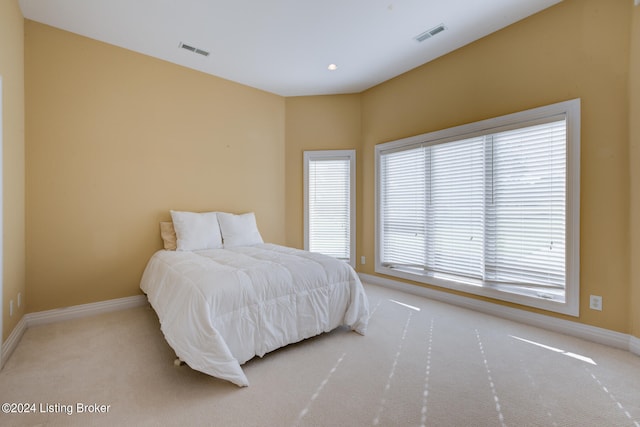 bedroom featuring multiple windows and carpet floors