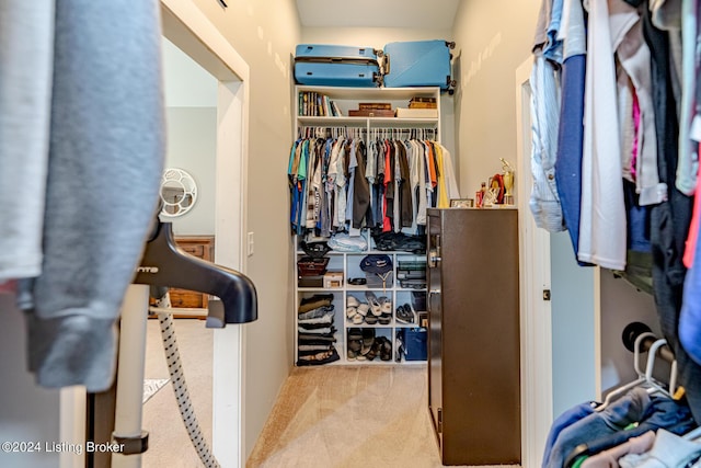 spacious closet with light colored carpet