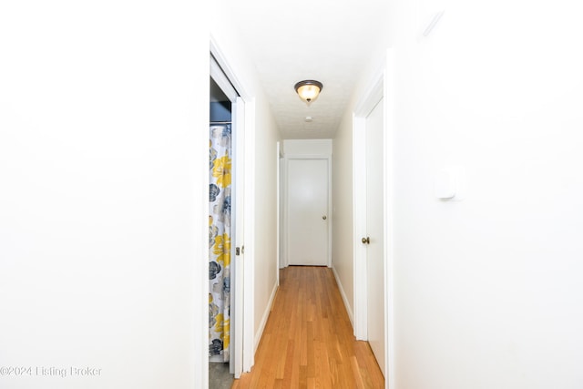 hall featuring light hardwood / wood-style floors