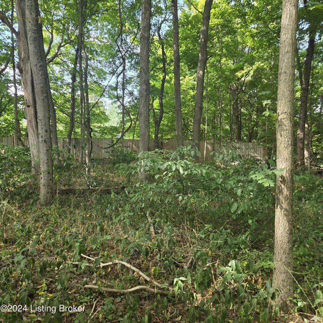 view of local wilderness