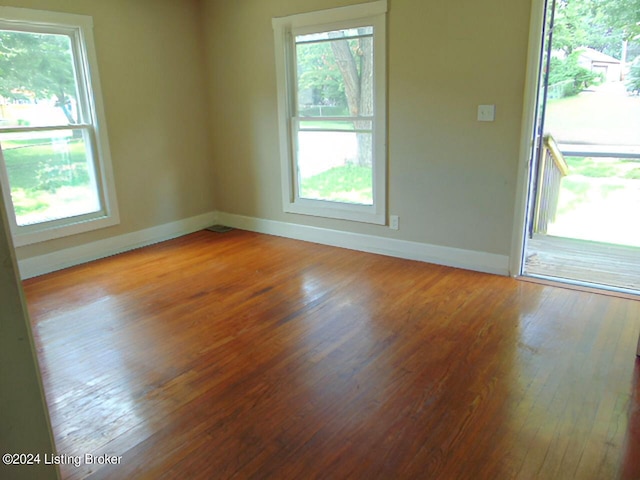 empty room with a wealth of natural light and hardwood / wood-style flooring