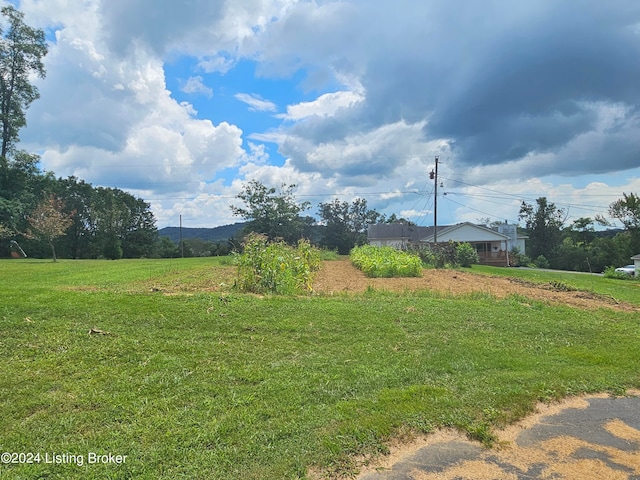 view of yard featuring a rural view