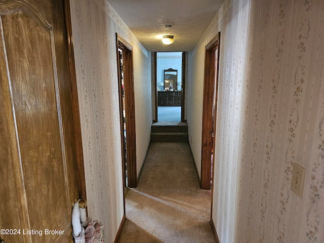 hallway with carpet