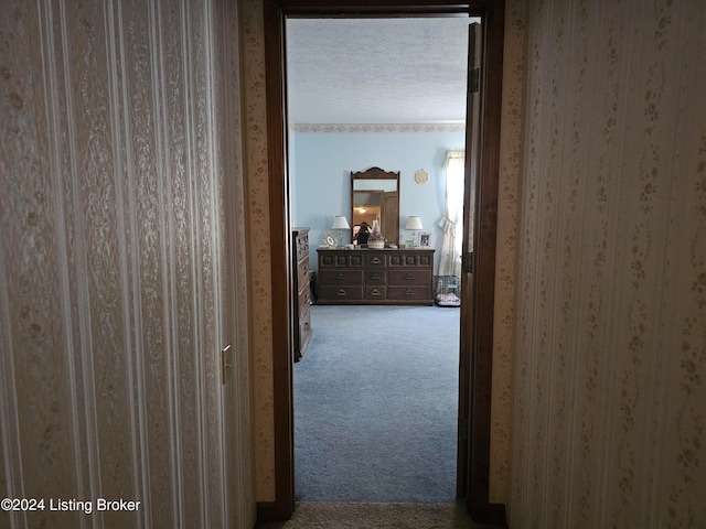 hallway with carpet flooring and a textured ceiling