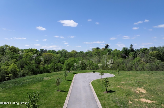 LOT9 Poplar Hill Blf, Louisville, KY 40207 - photo 6