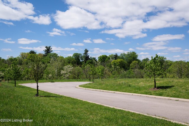 LOT9 Poplar Hill Blf, Louisville, KY 40207 - photo 7