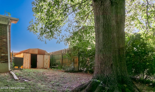 view of yard featuring central AC unit and a storage unit