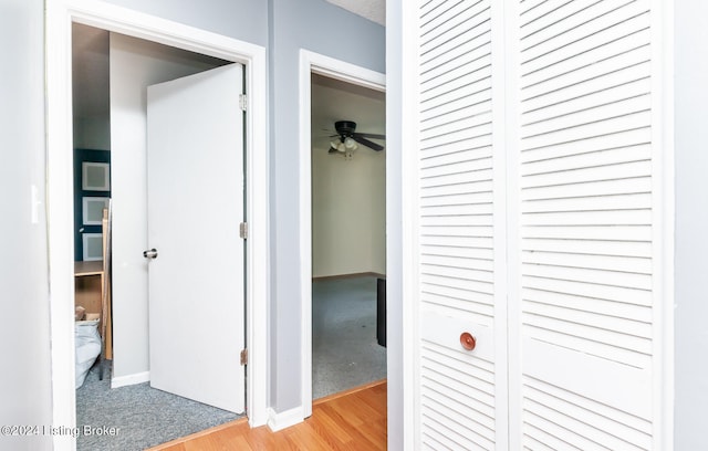 hall featuring light hardwood / wood-style floors