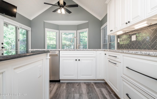 kitchen with lofted ceiling, white cabinets, and a healthy amount of sunlight