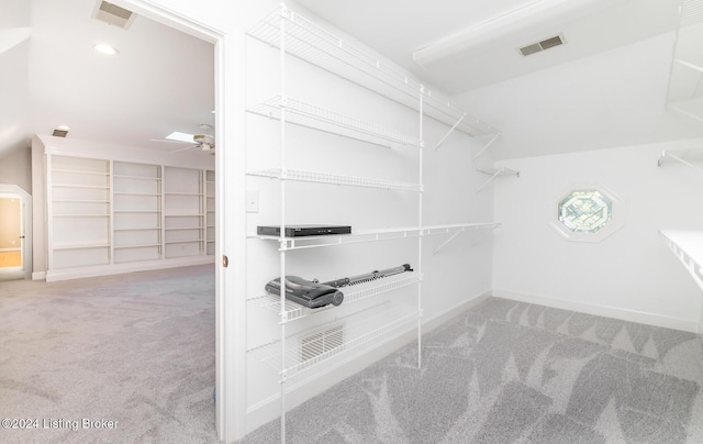 spacious closet with ceiling fan, visible vents, and carpet flooring