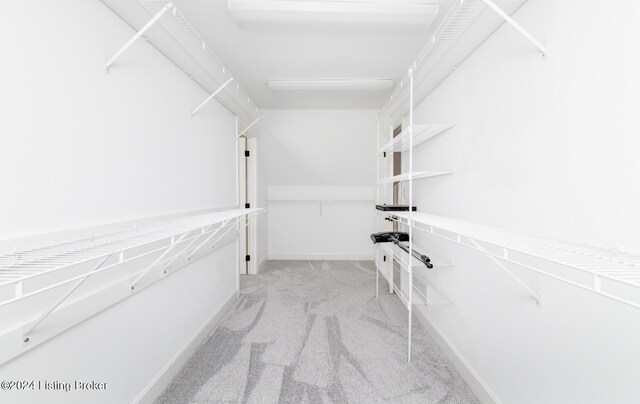 walk in closet featuring light colored carpet