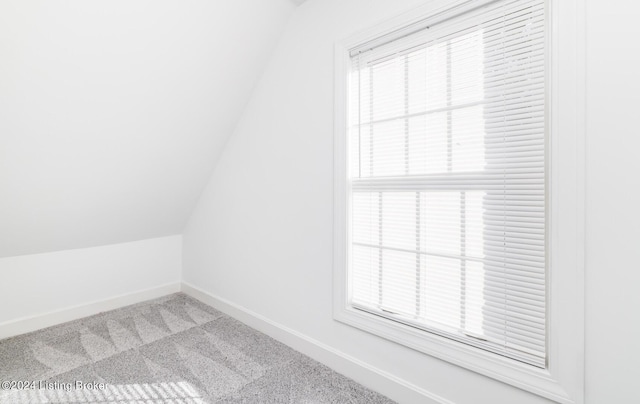 additional living space featuring a healthy amount of sunlight, baseboards, vaulted ceiling, and carpet flooring